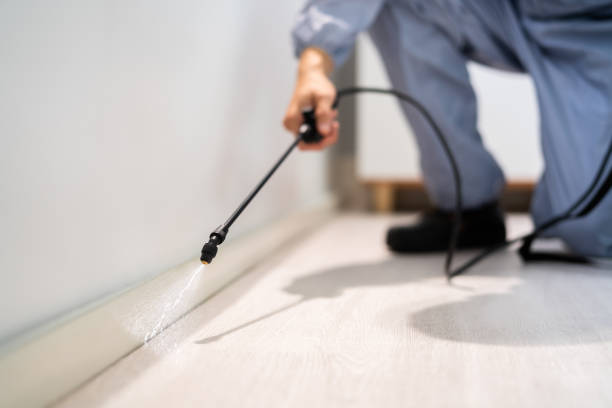 Licensed Mosquito Control service in Nassau Bay, TX - Show Me Pest Control
