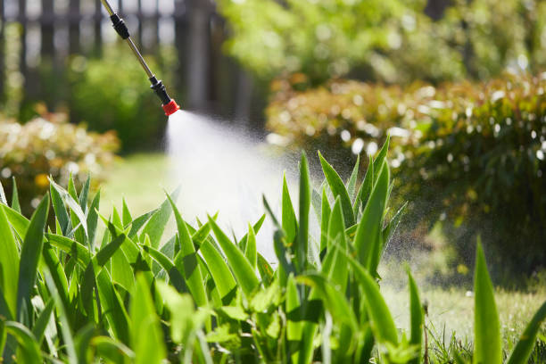 24/7 Emergency Mosquito Control experts in Nassau Bay, TX