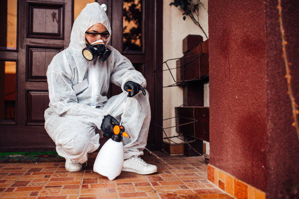 Reliable Mosquito Control contractor in Nassau Bay, TX by Show Me Pest Control