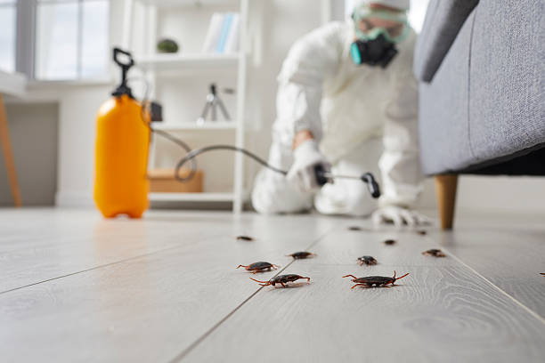 Affordable Mosquito Control solutions in Nassau Bay, TX